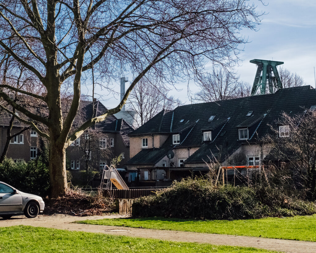 20220212_120740_XE4_8414 Gartenstadt 12.02.2022