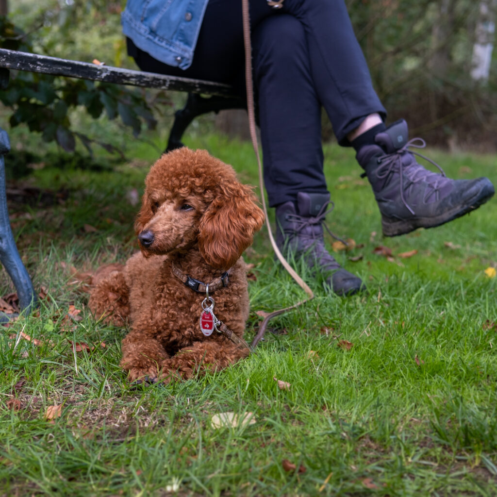 20221002_144411_XE4_1853 Bild 1853, Arboretum Grenzenlust