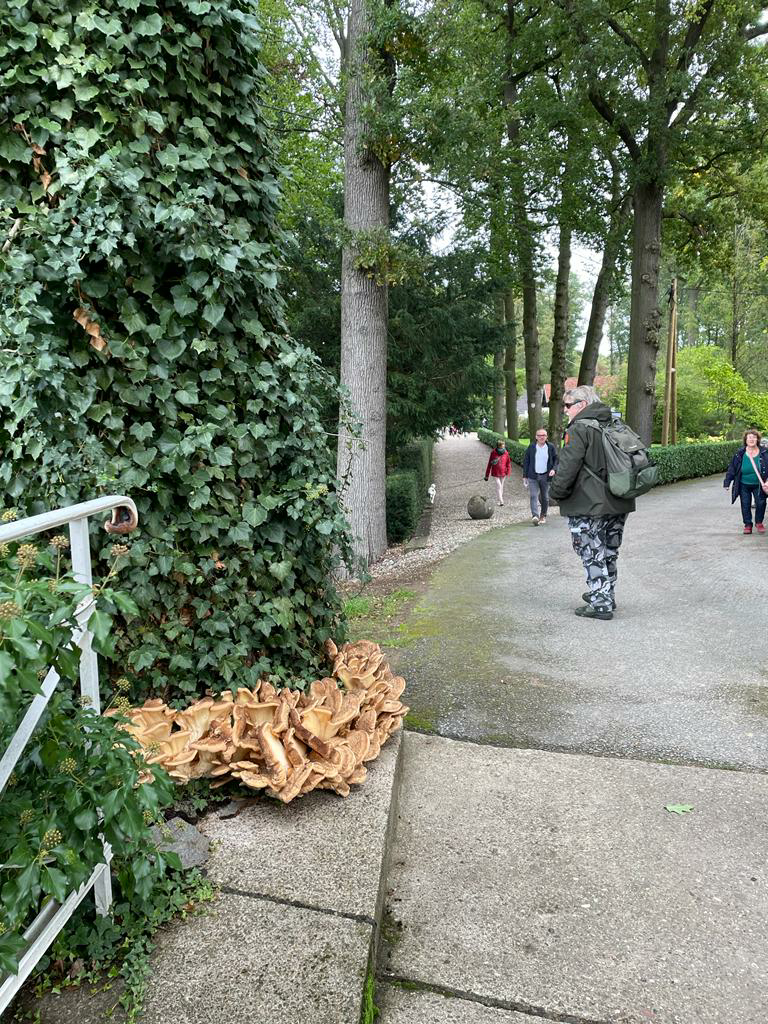 IMG_20221006_144709 Bild 4709 | Kunstmarkt Arboretum Grenzenlust | Foto Walli