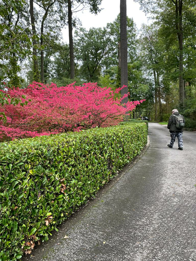 IMG_20221006_144737 Bild 4737 | Kunstmarkt Arboretum Grenzenlust | Foto Walli