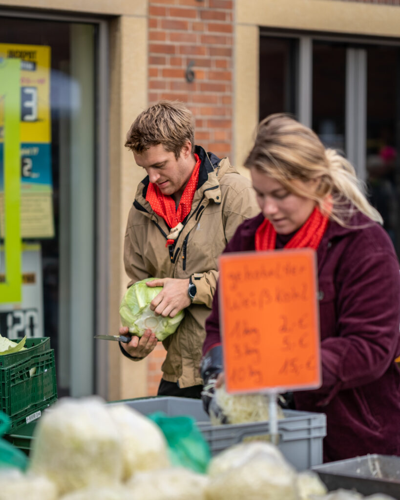 Bild 5899 | Weißkohl