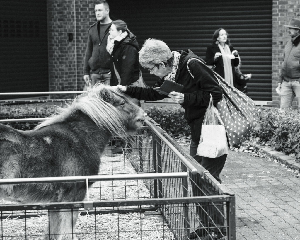 Bild 6406 | Kappesmarkt Raesfeld
