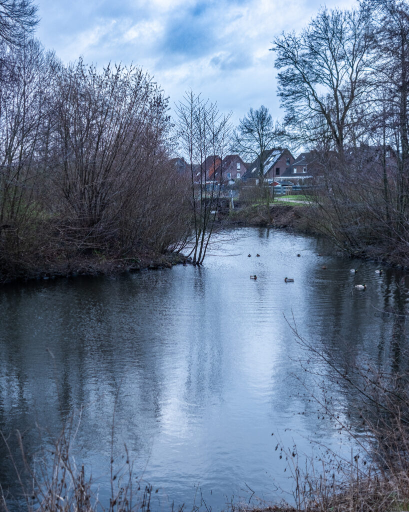 20230201_092624_XT5_53359-2