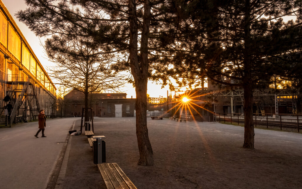 Bild 51011 zufällige Begegnung, LaPaDu