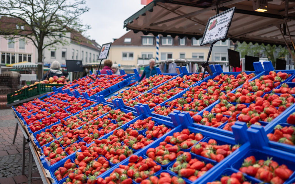Bild 50507 | Haltern am See