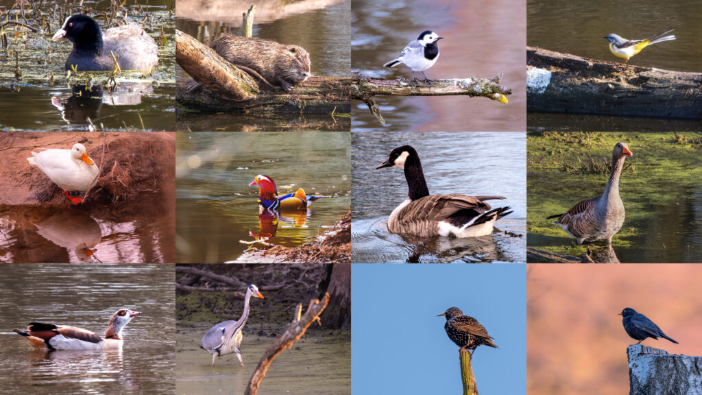 12erKachelnRotbachtal